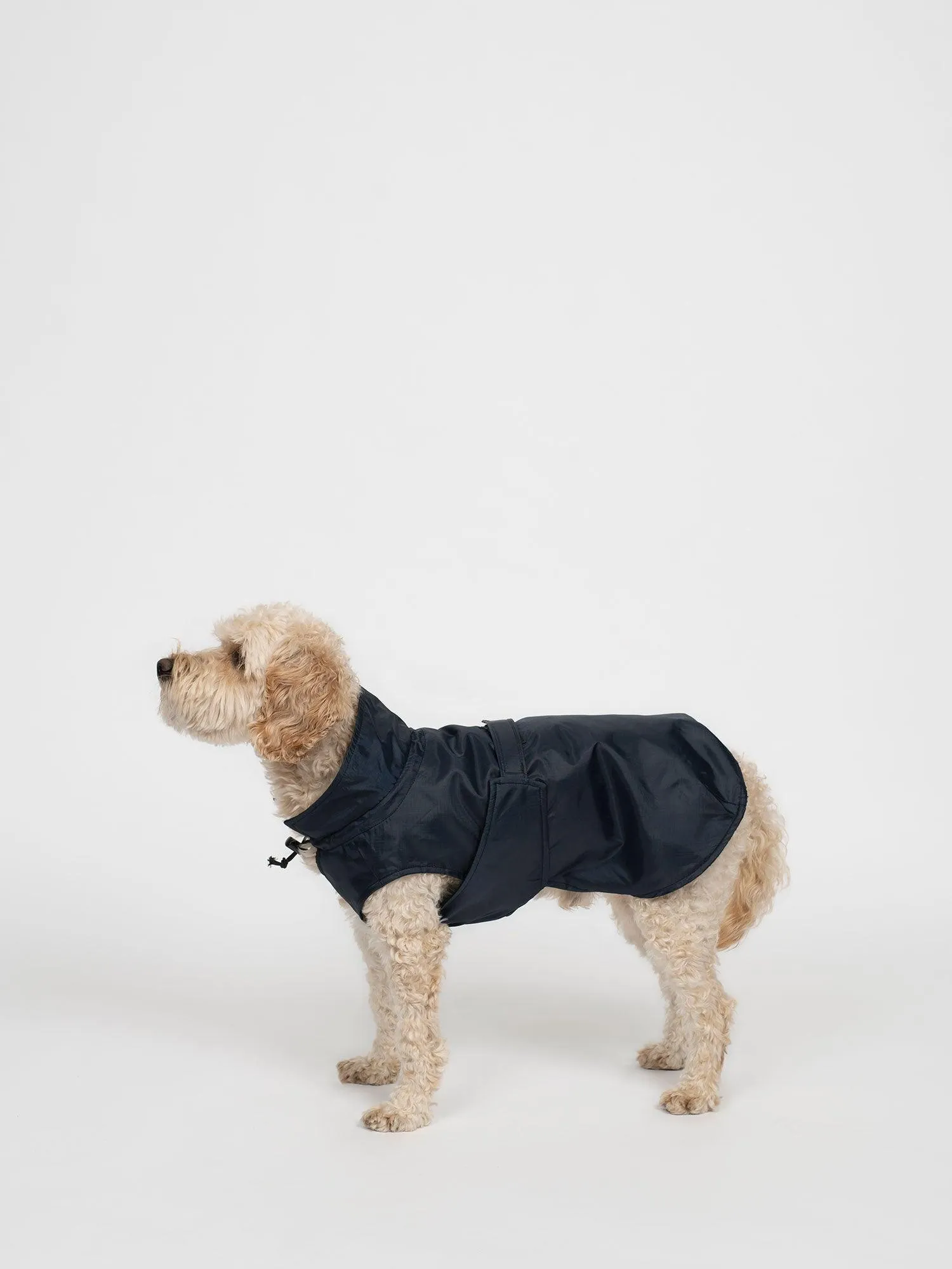 FREE PET COAT PATTERN